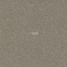 Modulyss Millennium Nxtgen Millennium Nxtgen 061 фото 1 | FLOORDEALER